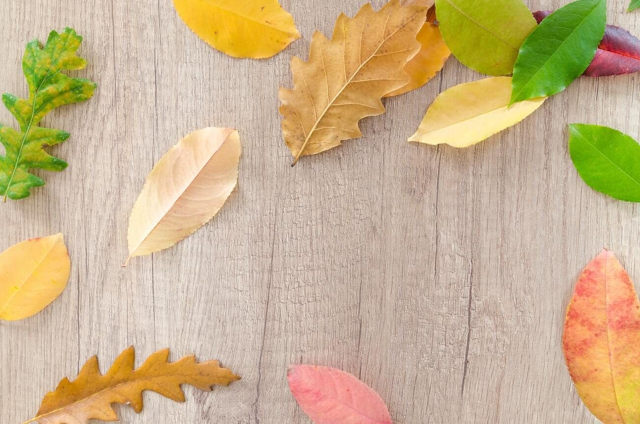 September Awareness Days: Inspiration For Creator Marketing Campaigns