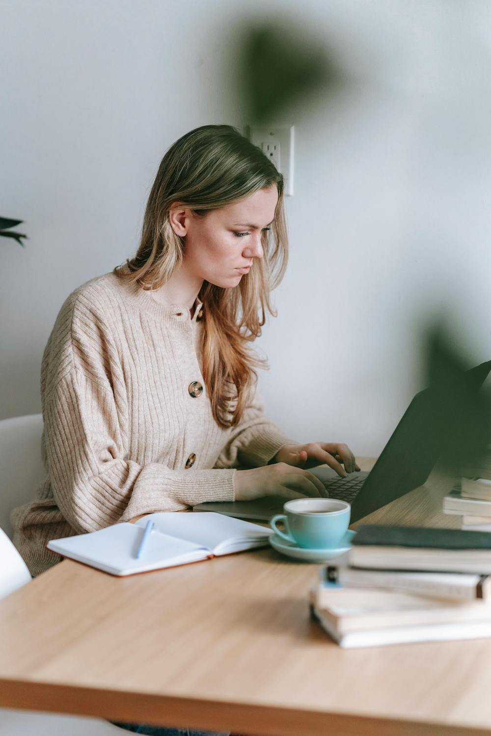 Sponsored Blog Posts