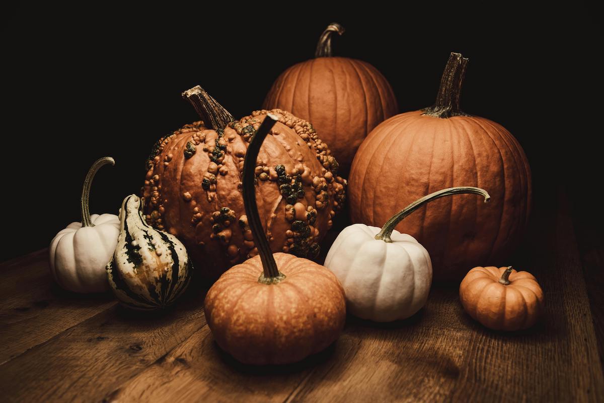 105 October Awareness Days for Blogger Marketing [+ Seasonal Traffic Trends]
